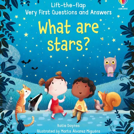 Lift-the-flap What Are Stars