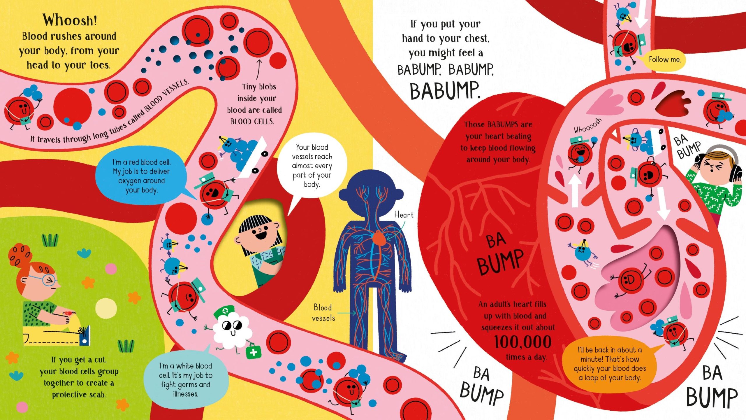 Step inside Science Your Body - Image 3