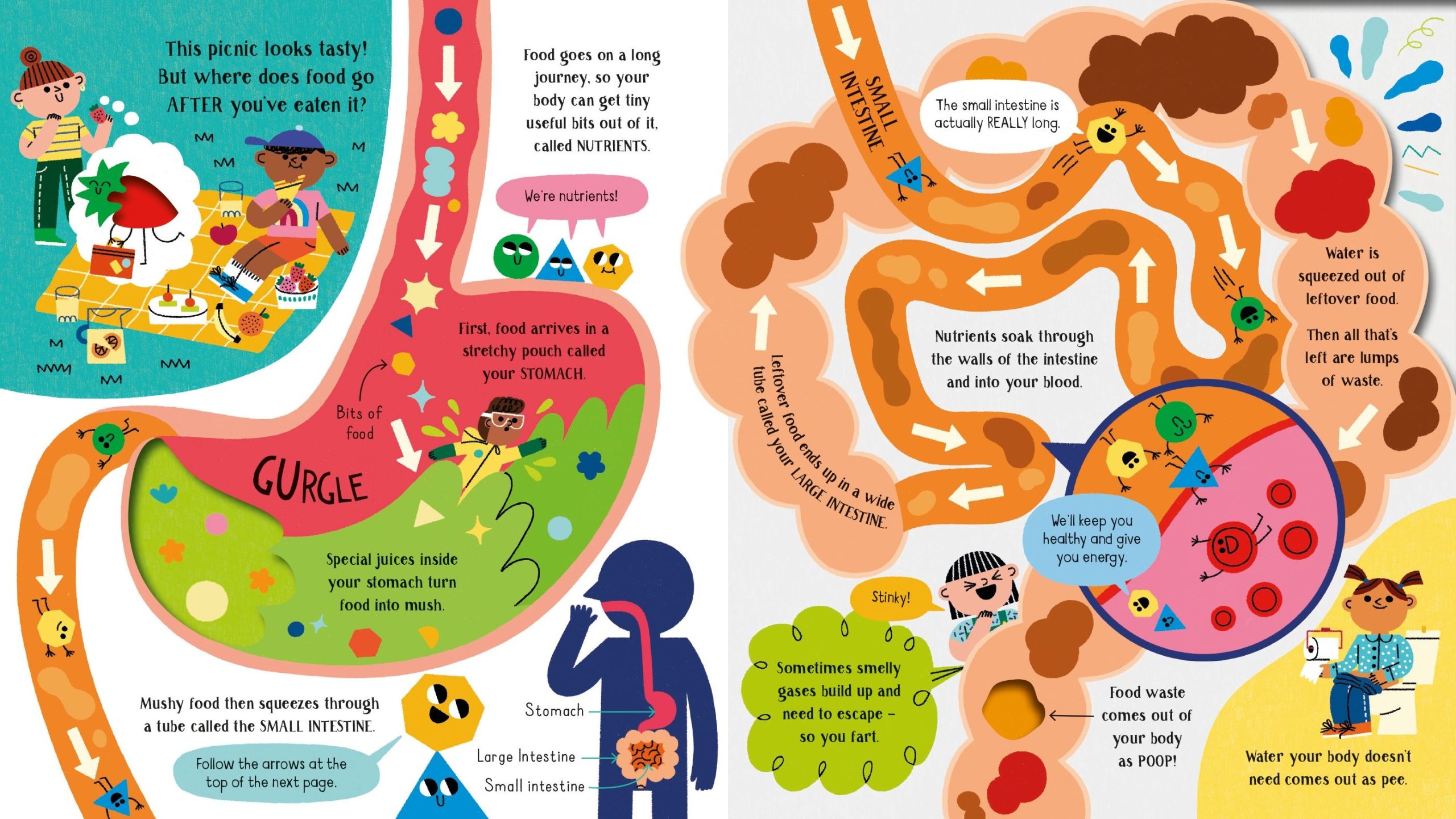 Step inside Science Your Body - Image 4