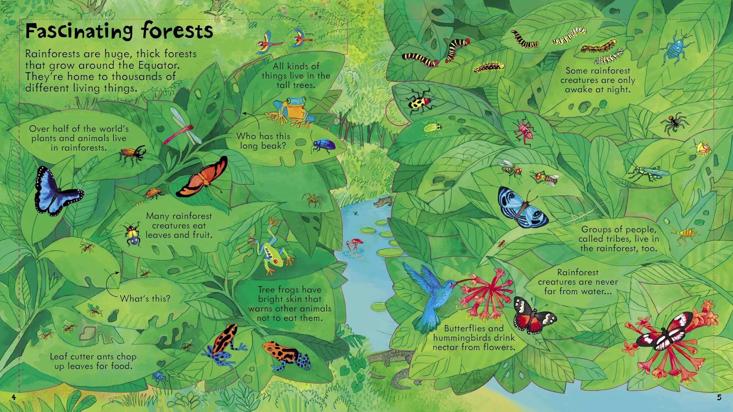 Look Inside Our World - Image 3