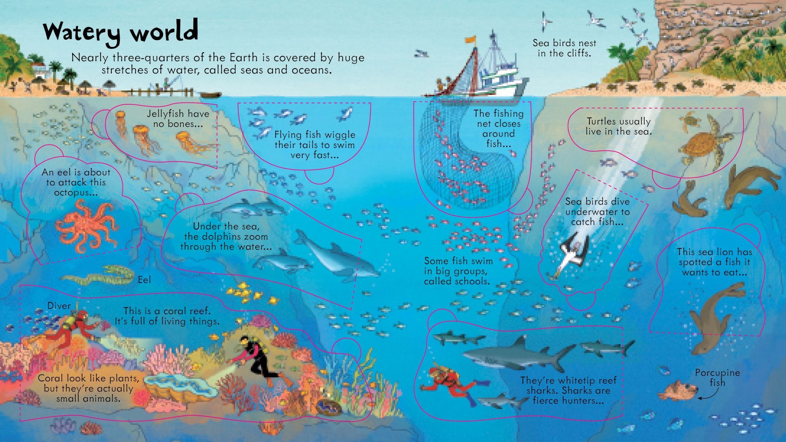 Look Inside Our World - Image 4