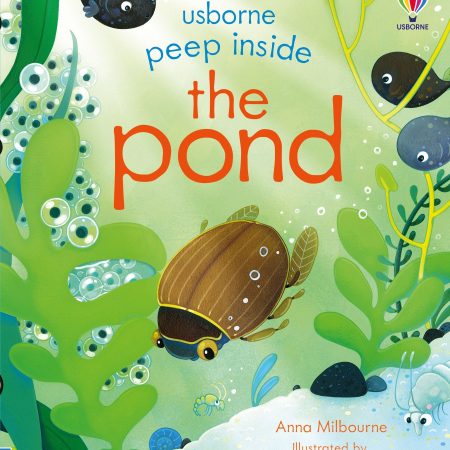 Peep Inside the Pond