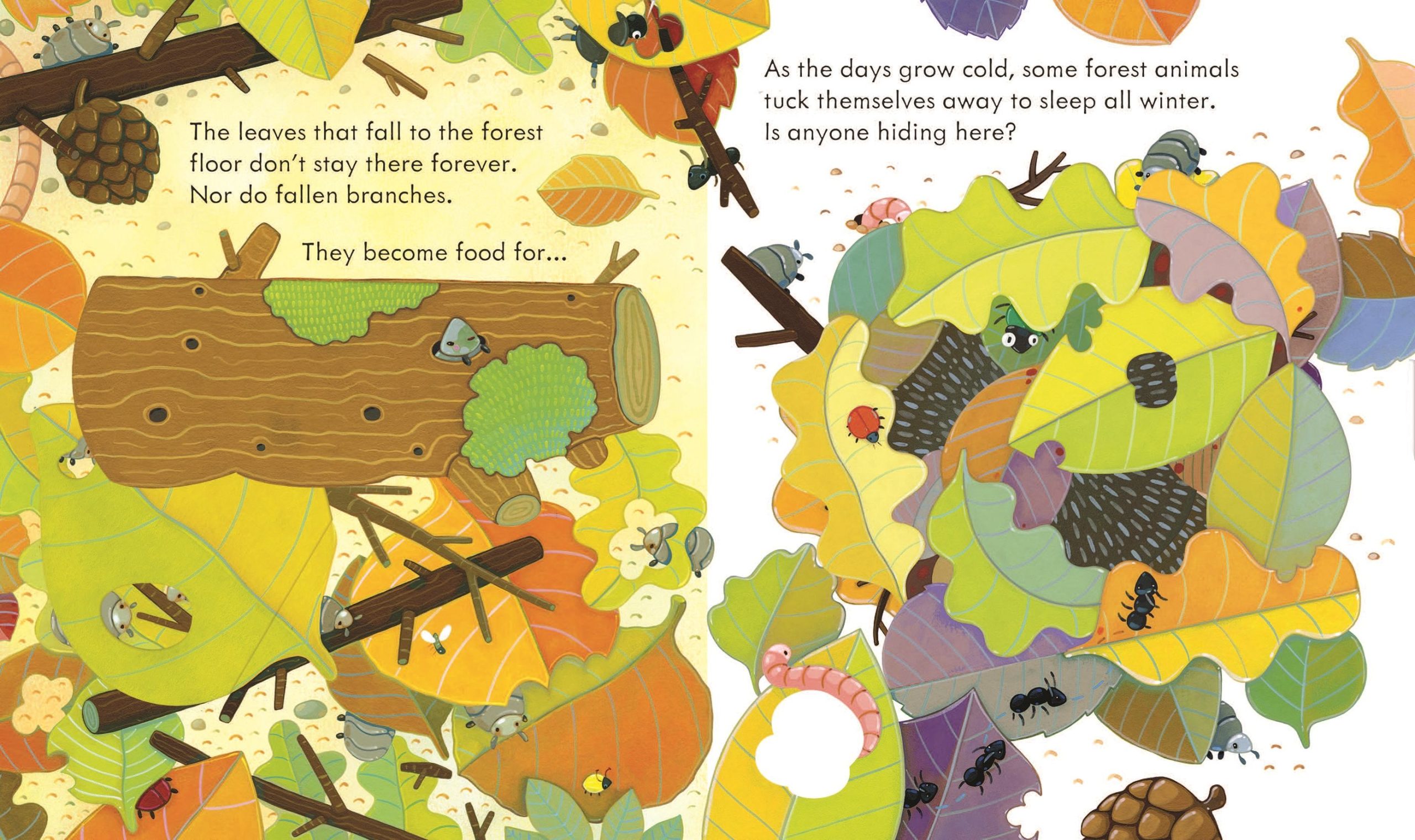 Peep Inside the Forest - Image 3