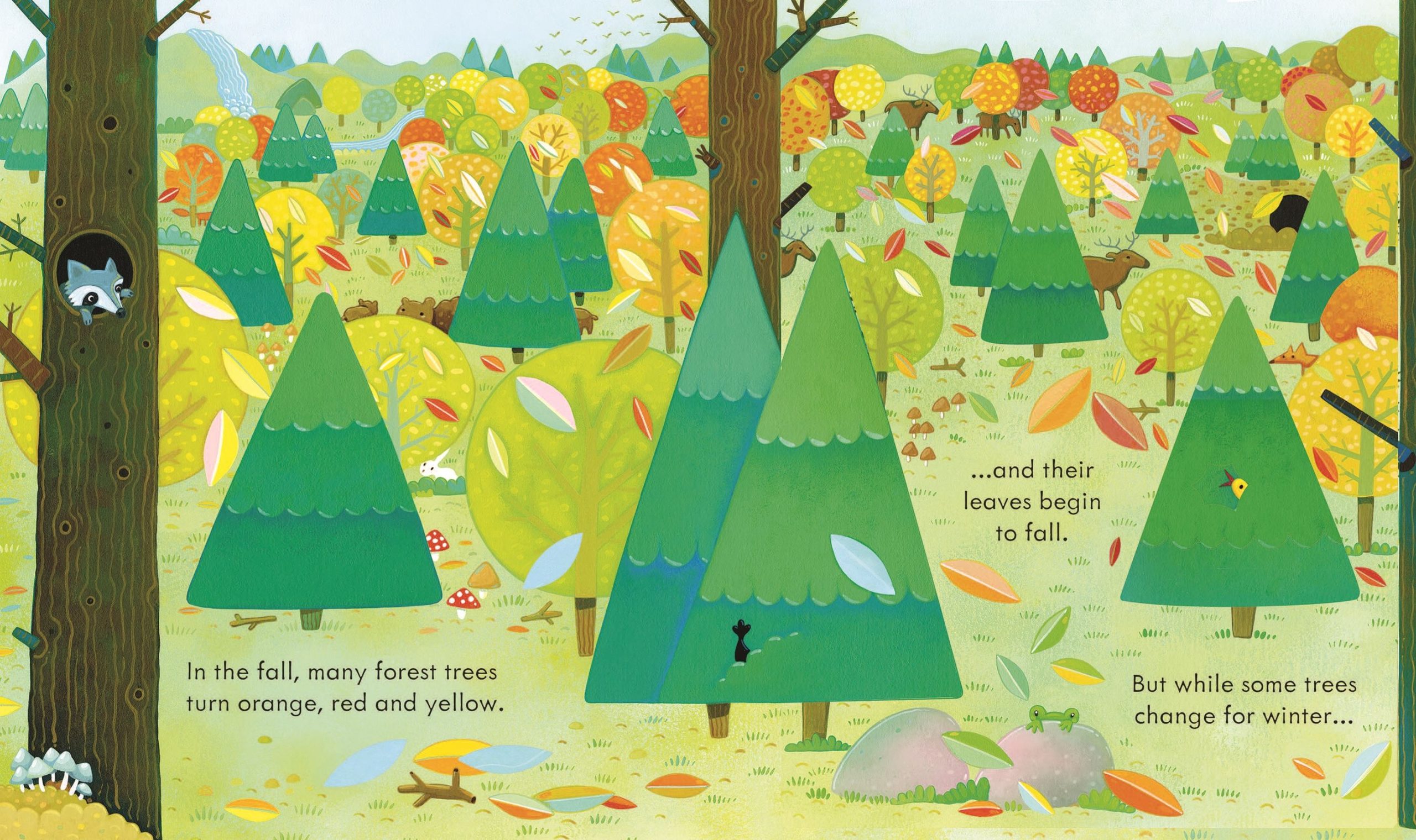 Peep Inside the Forest - Image 4